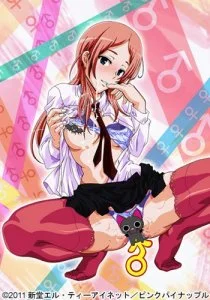 ТСФ Моногатари