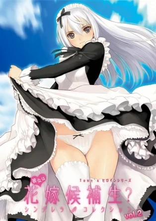 Поиски супруги: Кто достойна быть невестой? Коллекция золушек