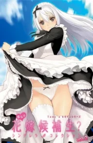 Поиски супруги: Кто достойна быть невестой? Коллекция золушек