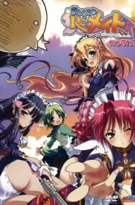 Научи меня! Обучение горничных