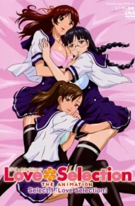 Любовный выбор