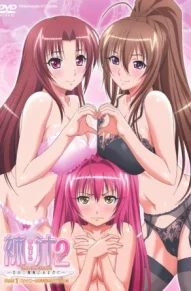 Сестрички Сиракава 2