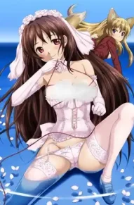 Праздник любви