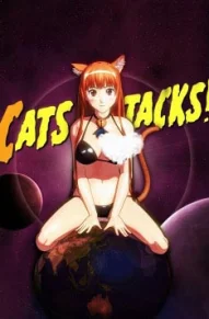 Поиграй со мною нежно! Кошки атакуют